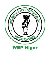 Women Environmental Programme - WEP Niger 